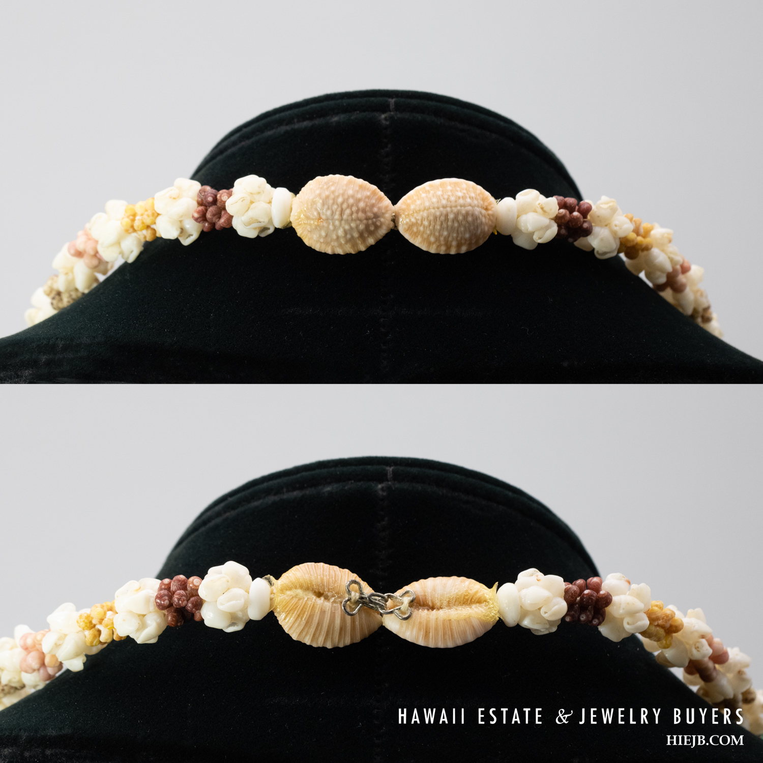 Ni'ihau Shell Lei Pua Kalaunu 22.5 Inch with Earrings - Image 8