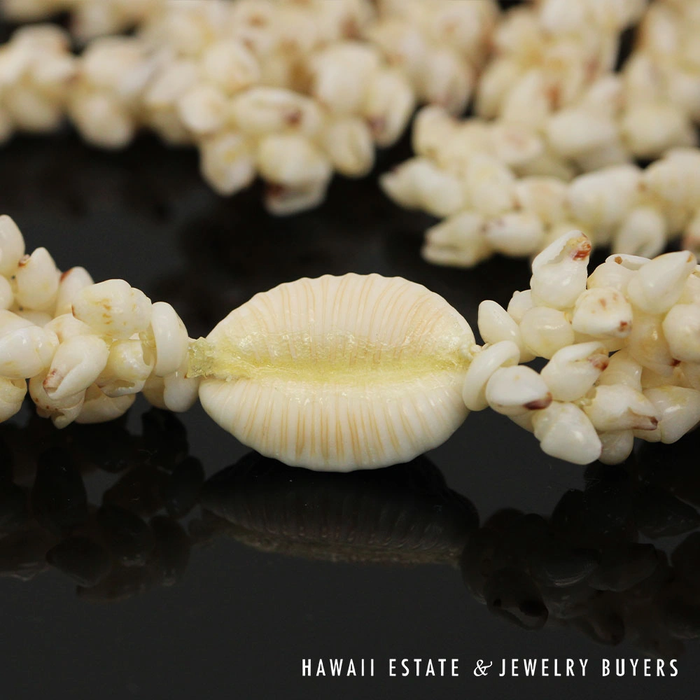Roselani Ni'ihau Shell Lei
