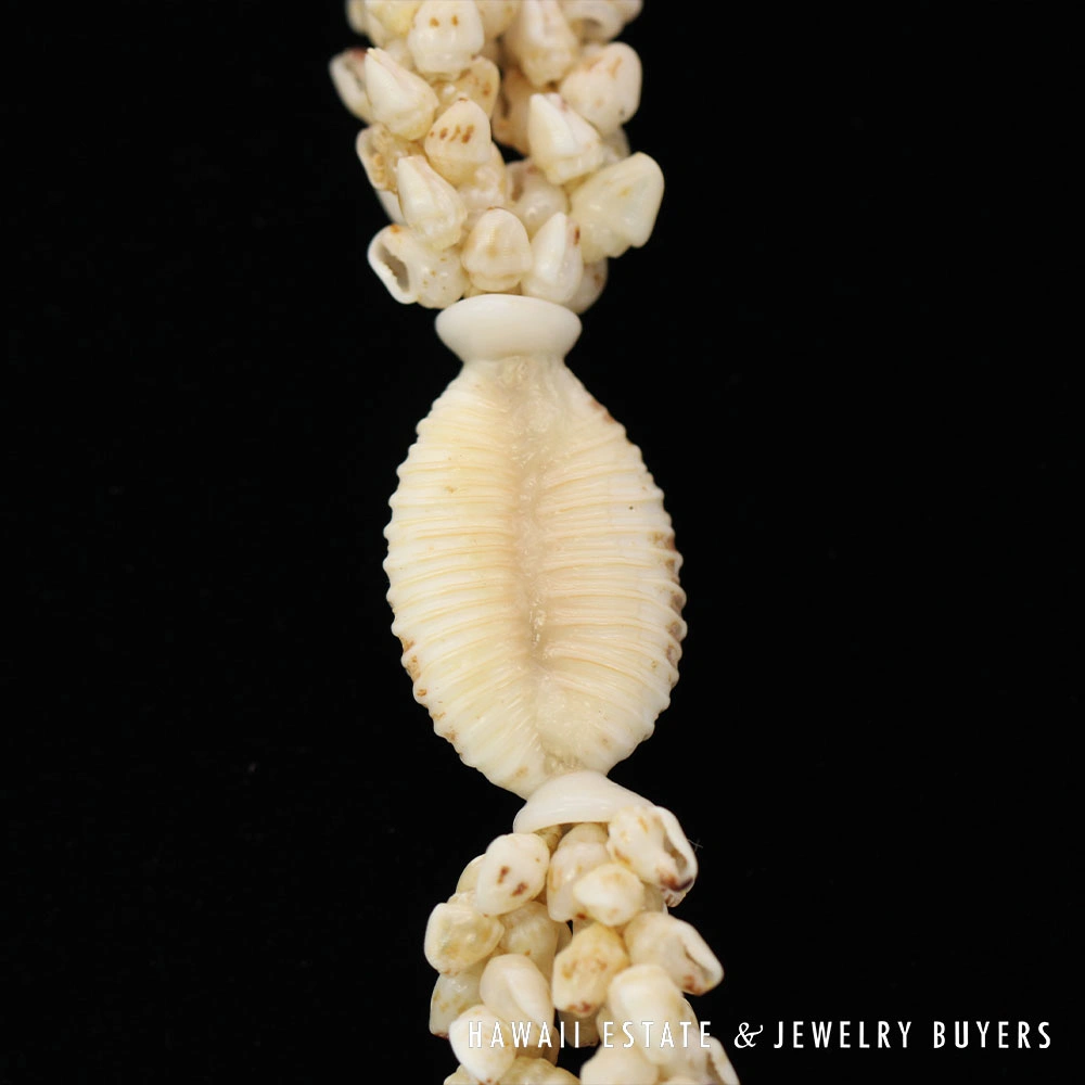 Ni'ihau Shell Lei 3-Strand Pikake Momi Lenalena Cream Necklace 36 Inch - Image 3