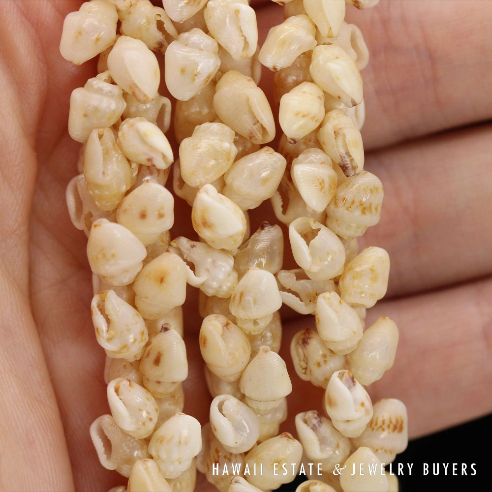 Ni'ihau Shell Lei 3-Strand Pikake Momi Lenalena Cream Necklace 36 Inch - Image 5