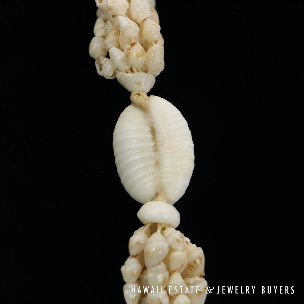 Ni'ihau Shell Lei 10-Strand Pololei Momi Cream 48 Inch Genuine Hawaiian Necklace - Image 12