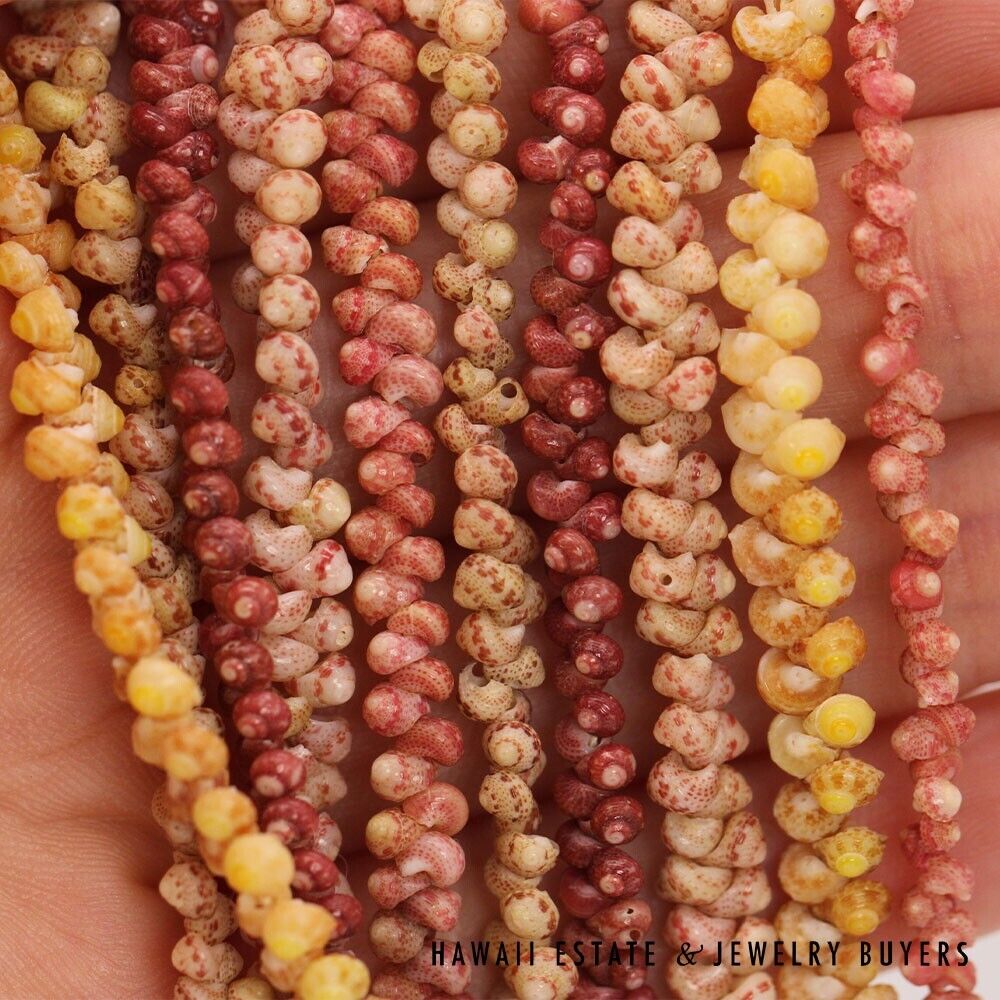 Five-Strand Multi-Color Ni'ihau Shell Necklace: Maunaloa 17 inches #2723-02 - Image 7