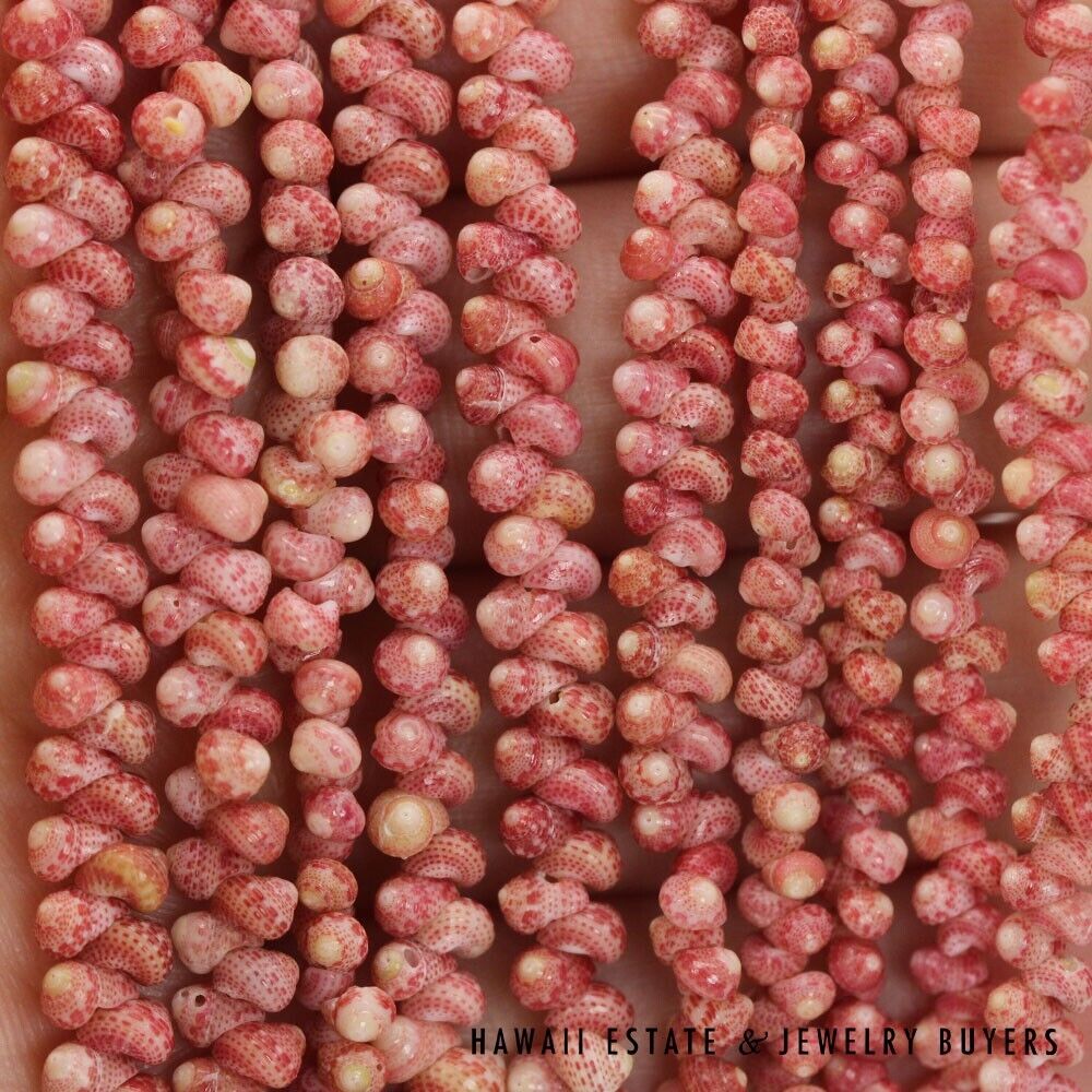 5-Strand Ni'ihau Shell Lei: Maunaloa Kahelelani Akala Pua 36 inches #HC070122-04 - Image 9