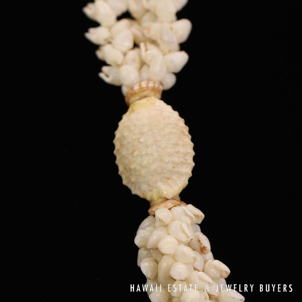 Ni'ihau Shell Lei 3-Strand Pikake Momi Ke'oke'o White 30 Inch - Image 10