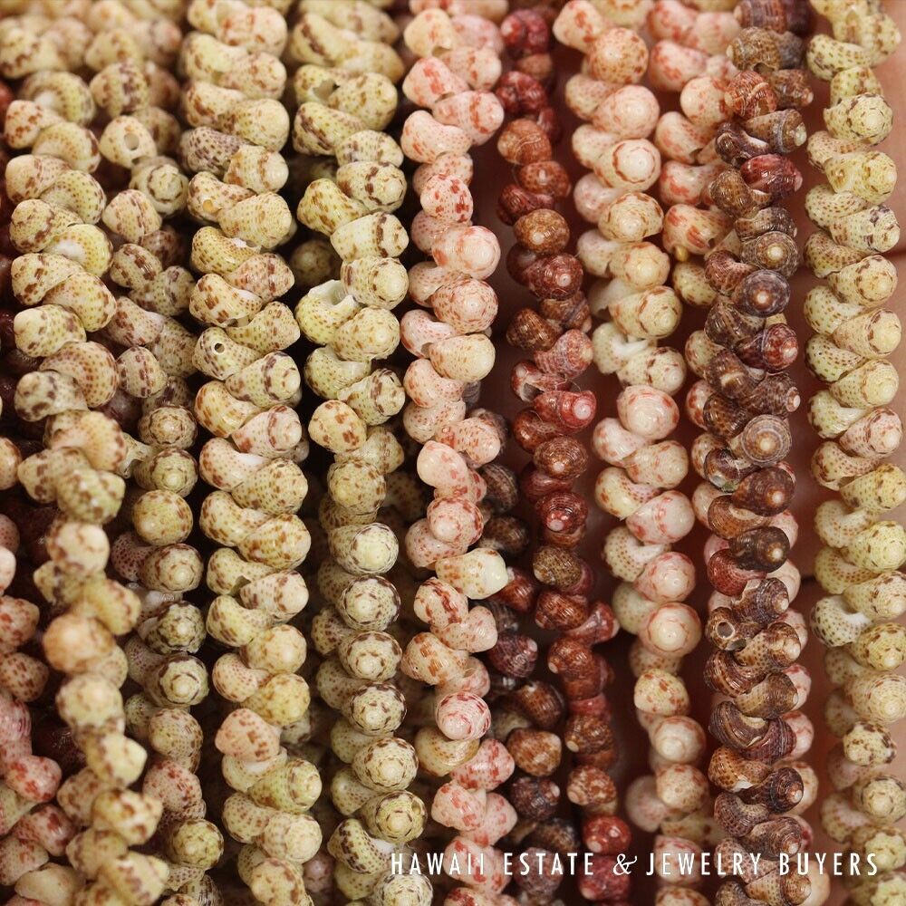 Ni'ihau Shell Lei 10-Strand Mauna Loa Kahelelani Multi 38 Inch Hawaiian Necklace - Image 11