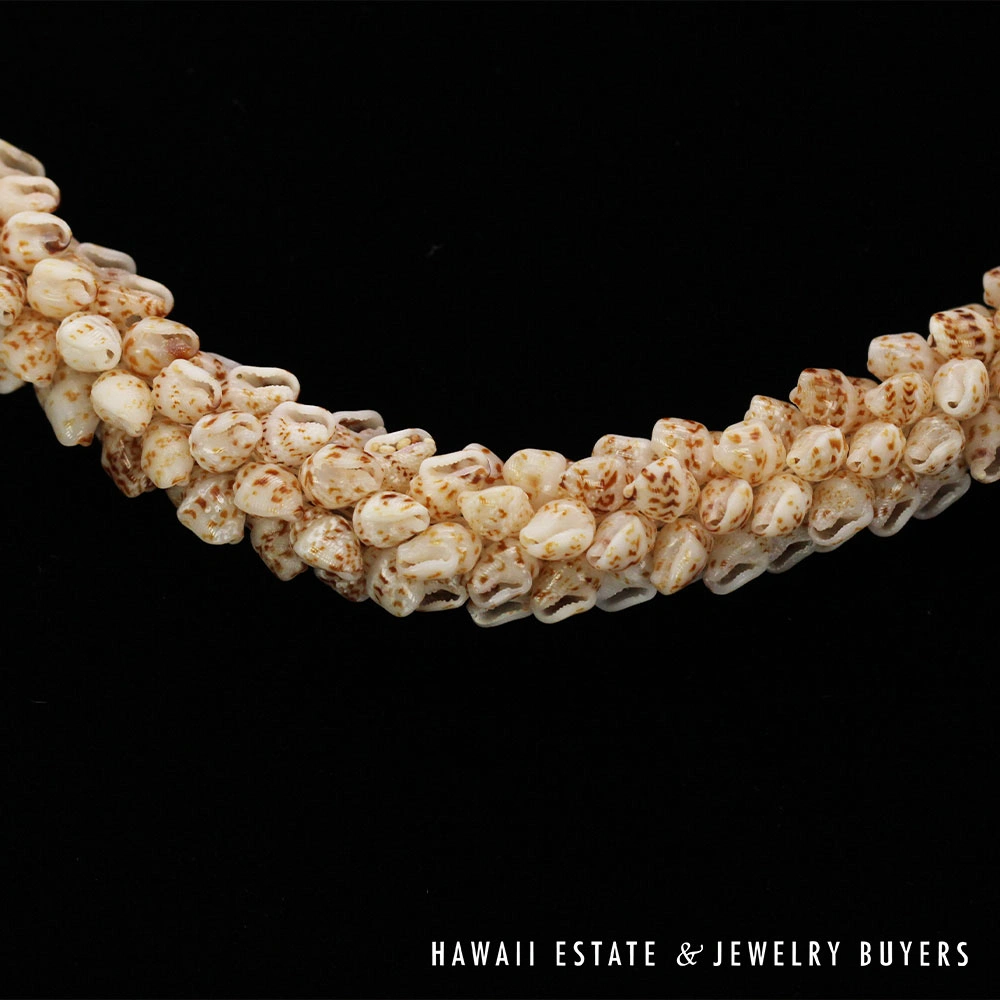 Coconut Style Ni'ihau Shell Choker Necklace: Momi Onikiniki 21