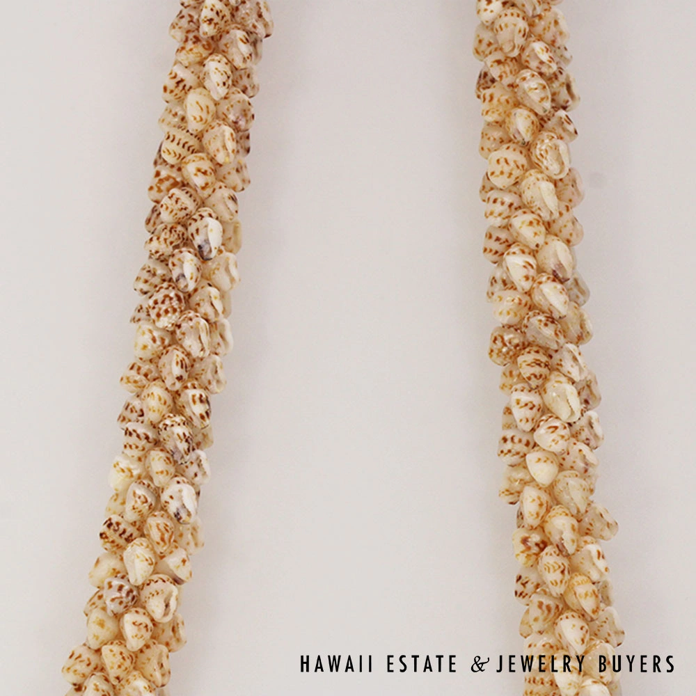 Coconut Style Ni'ihau Shell Choker Necklace: Momi Onikiniki 21