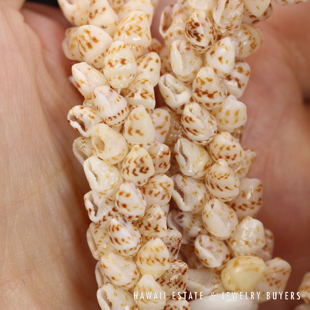 Ni'ihau Shell Lei 21 Inch Coconut Style Momi Onikiniki Hawaiian Necklace - Image 12