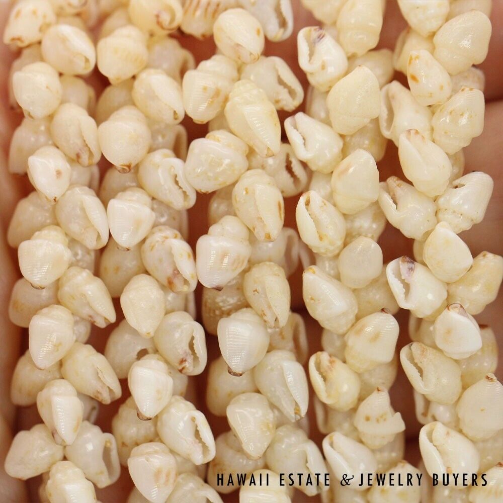 Ni'ihau Shell Lei 3 Strand Pikake Momi Lenalena Poleholeho Apu'upu'u 38 Inch - Image 10