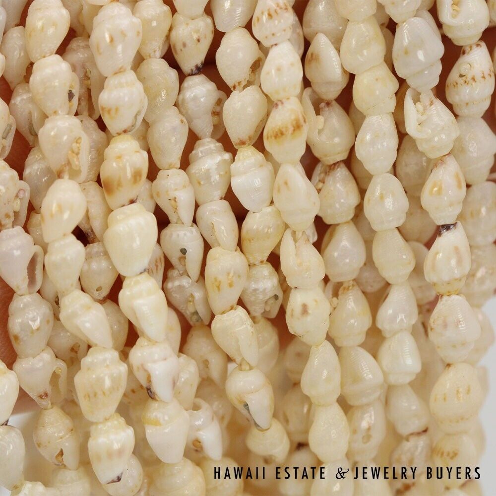 Ni'ihau Shell Lei 10-Strand Pololei Momi Cream 48 Inch Genuine Hawaiian Necklace - Image 10