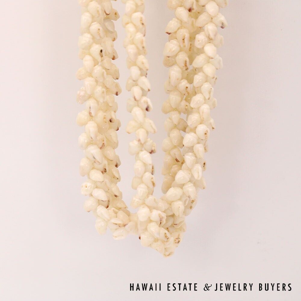 Ni'ihau Shell Lei 3-Strand Pikake Momi Ke'oke'o White 30 Inch - Image 9