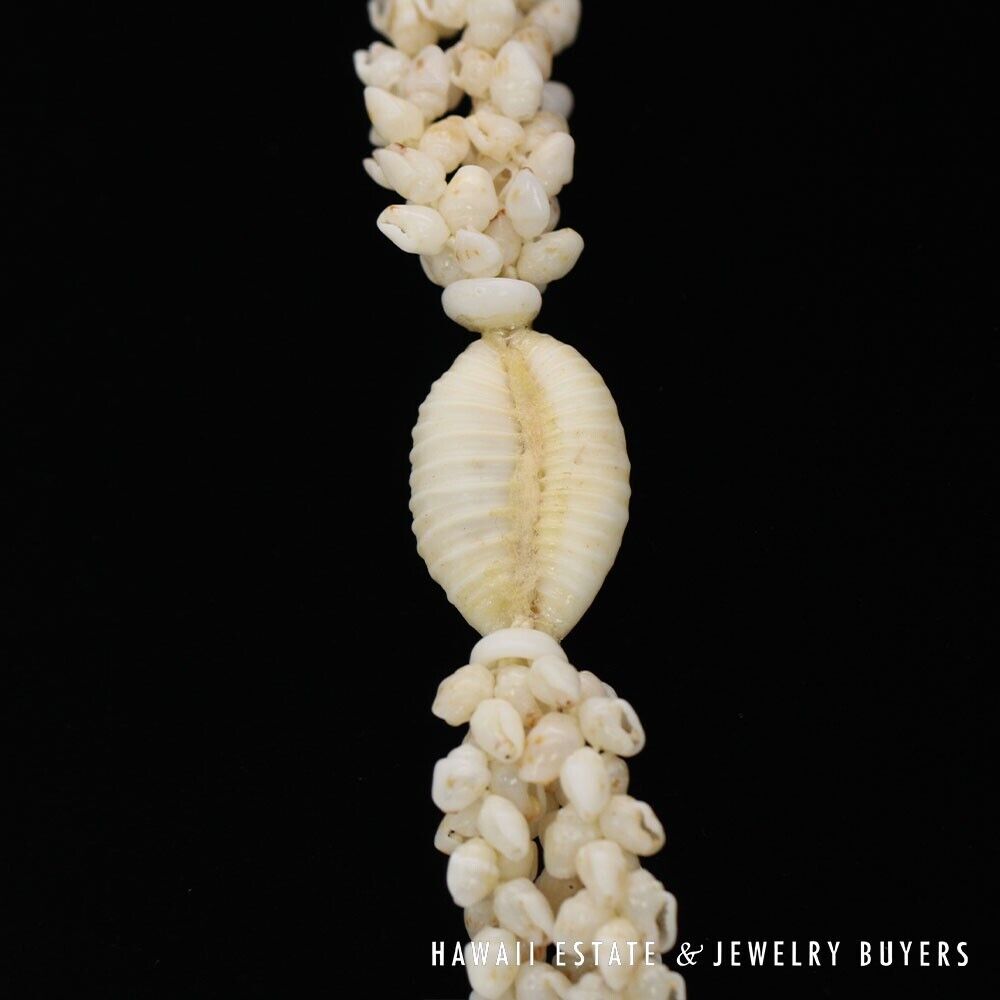 Ni'ihau Shell Lei 3-Strand Pikake Momi Cream 38 Inch Hawaiian Necklace - Image 10