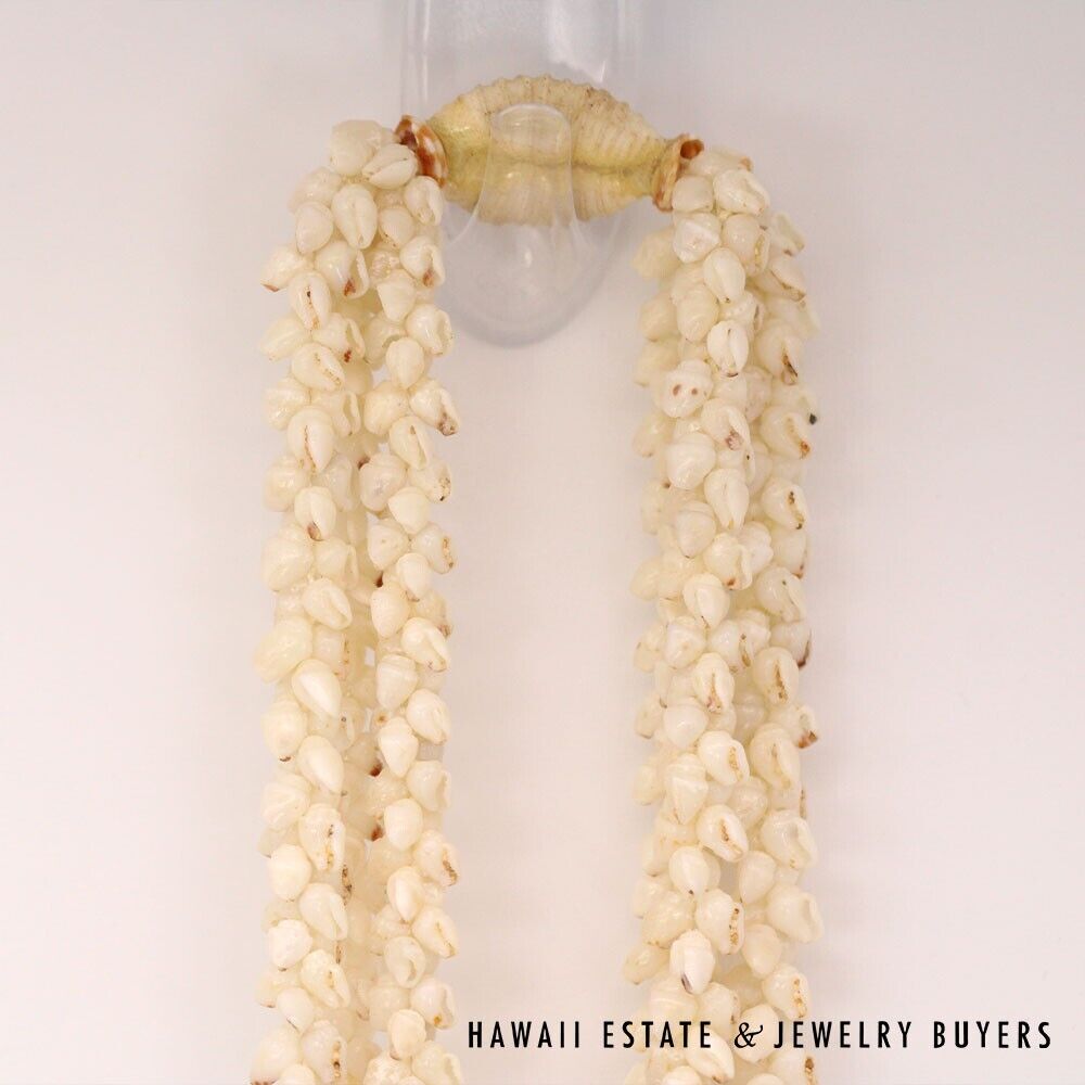 Ni'ihau Shell Lei 3-Strand Pikake Momi Ke'oke'o White 30 Inch - Image 7