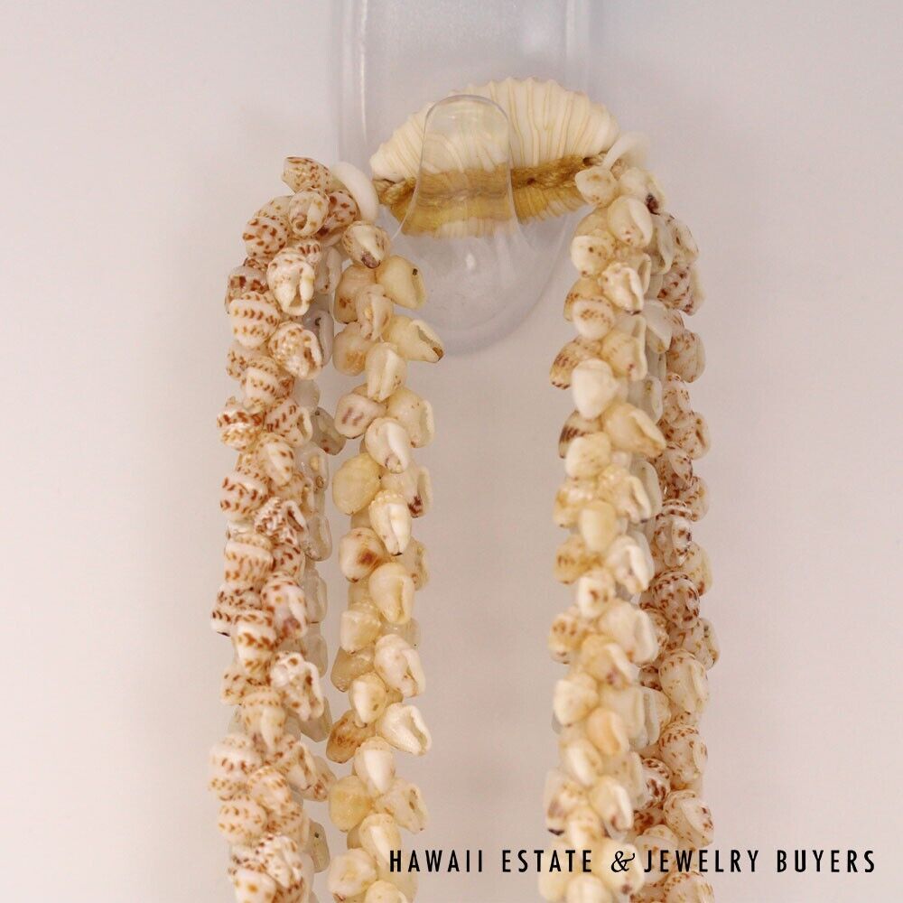 Ni'ihau Shell Lei 3-Strand Pikake Momi Multi-Color 38 Inch Hawaiian Necklace - Image 5