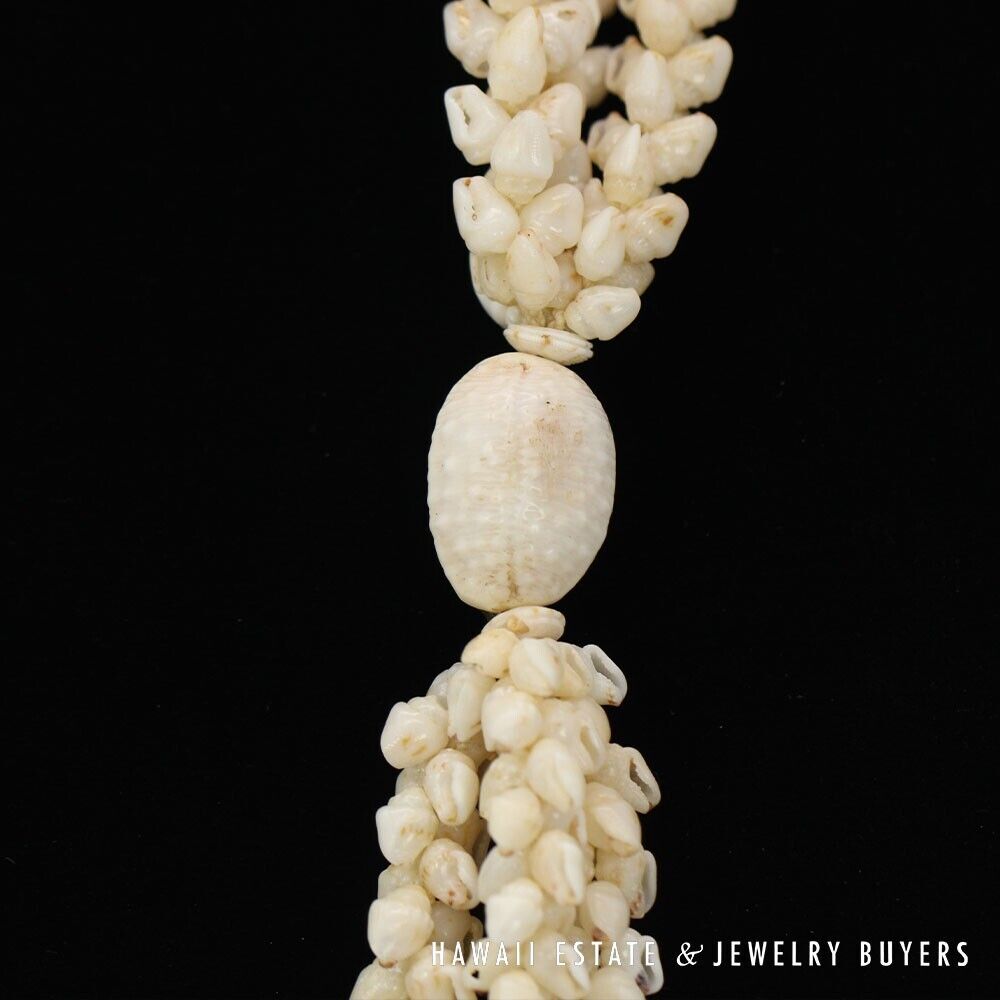 Ni'ihau Shell Lei 3 Strand Pikake Momi Lenalena Poleholeho Apu'upu'u 38 Inch - Image 11
