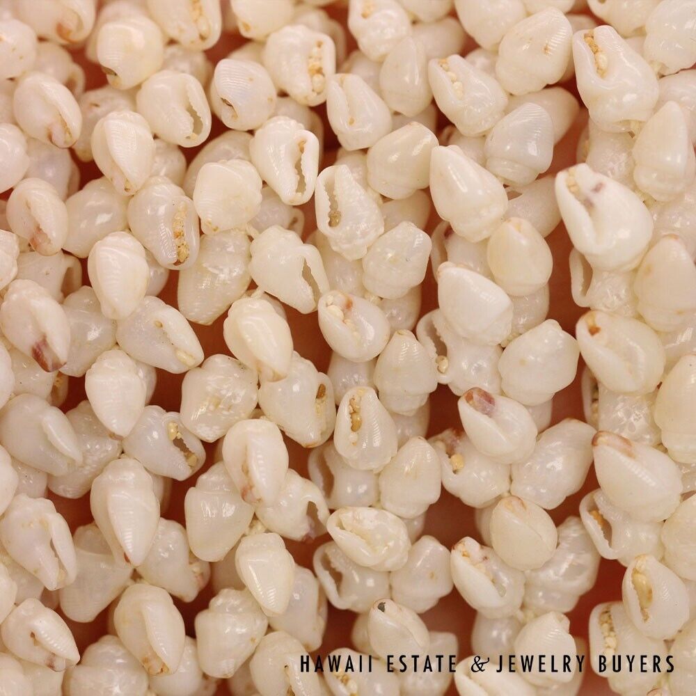 Ni'ihau Shell Lei 3-Strand Pikake Momi Ke'oke'o White 30 Inch - Image 4