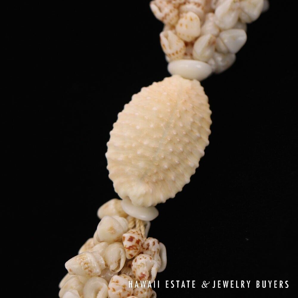 Ni'ihau Shell Lei 3-Strand Pikake Momi Multi-Color 38 Inch Hawaiian Necklace - Image 12