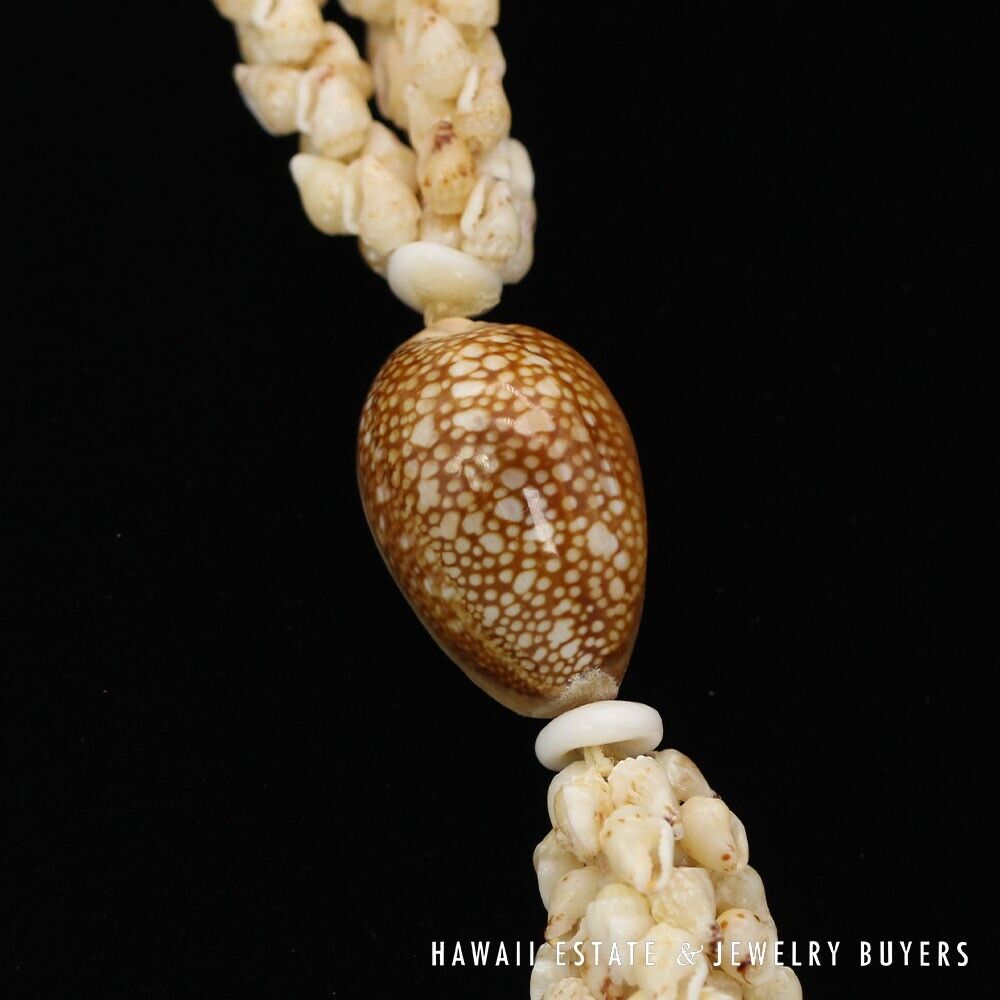 3-Strand Ni'ihau Shell Lei: Poe Poe Momi Lenalena 38 inches #LK021820-01 - Image 11
