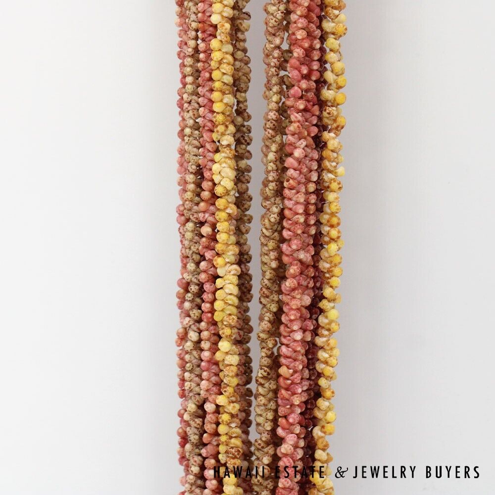 Ni'ihau Shell Lei Multi-Strand Maunaloa Kahelelani Kamoa Multi-Color 35 Inch - Image 7