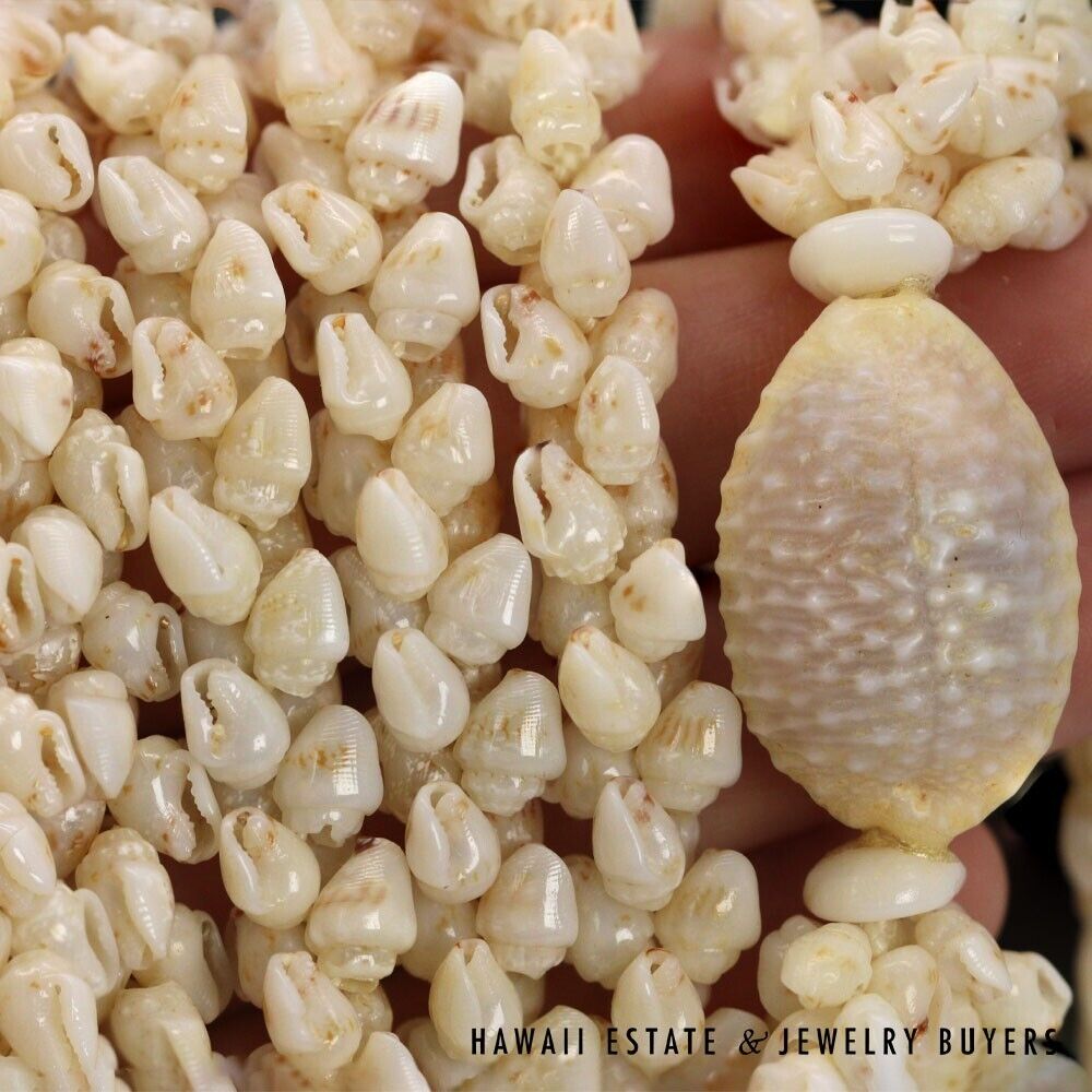 Ni'ihau Shell Lei 3-Strand Pikake Momi Cream 38 Inch Hawaiian Necklace - Image 12