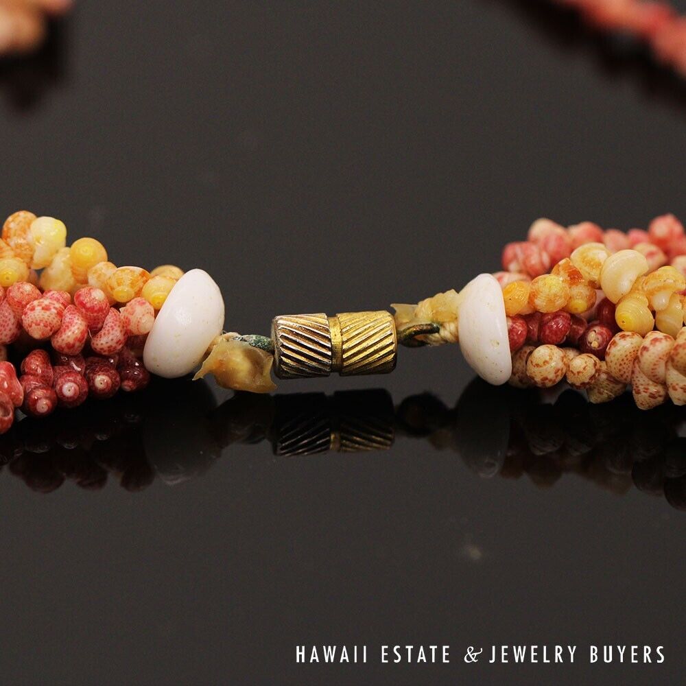 Five-Strand Multi-Color Ni'ihau Shell Necklace: Maunaloa 17 inches #2723-02 - Image 8
