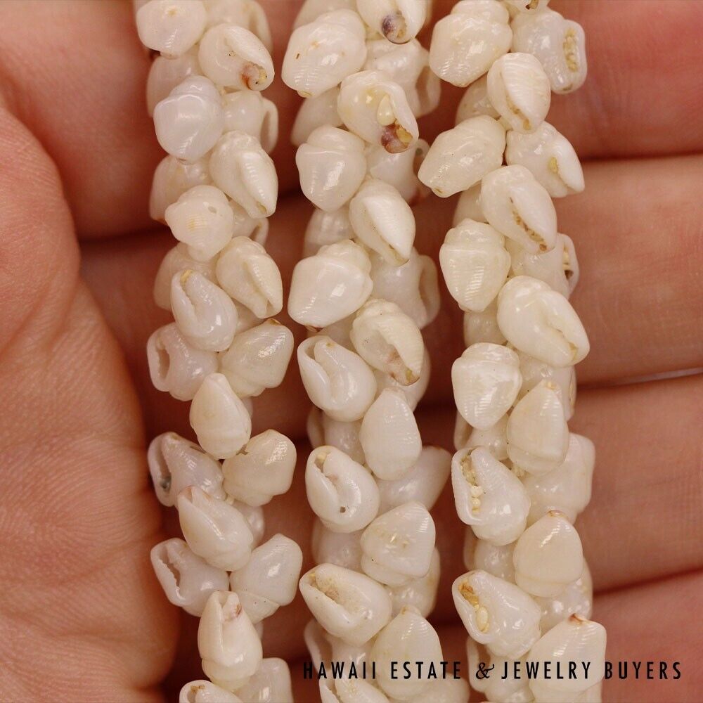Ni'ihau Shell Lei 3-Strand Pikake Momi Ke'oke'o White 30 Inch - Image 3
