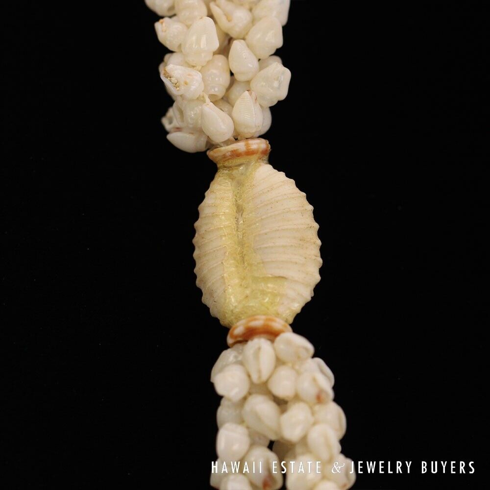 Ni'ihau Shell Lei 3-Strand Pikake Momi Ke'oke'o White 30 Inch - Image 11
