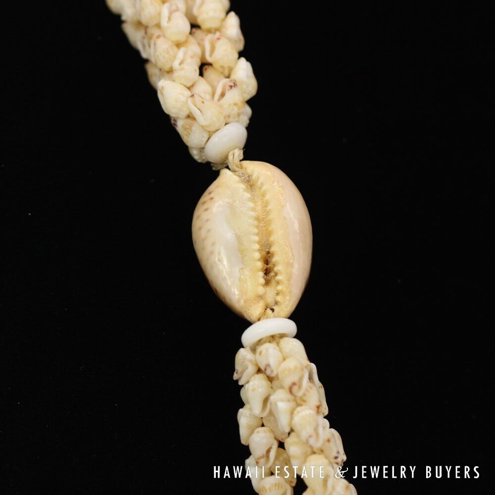 3-Strand Ni'ihau Shell Lei: Poe Poe Momi Lenalena 38 inches #LK021820-01 - Image 12