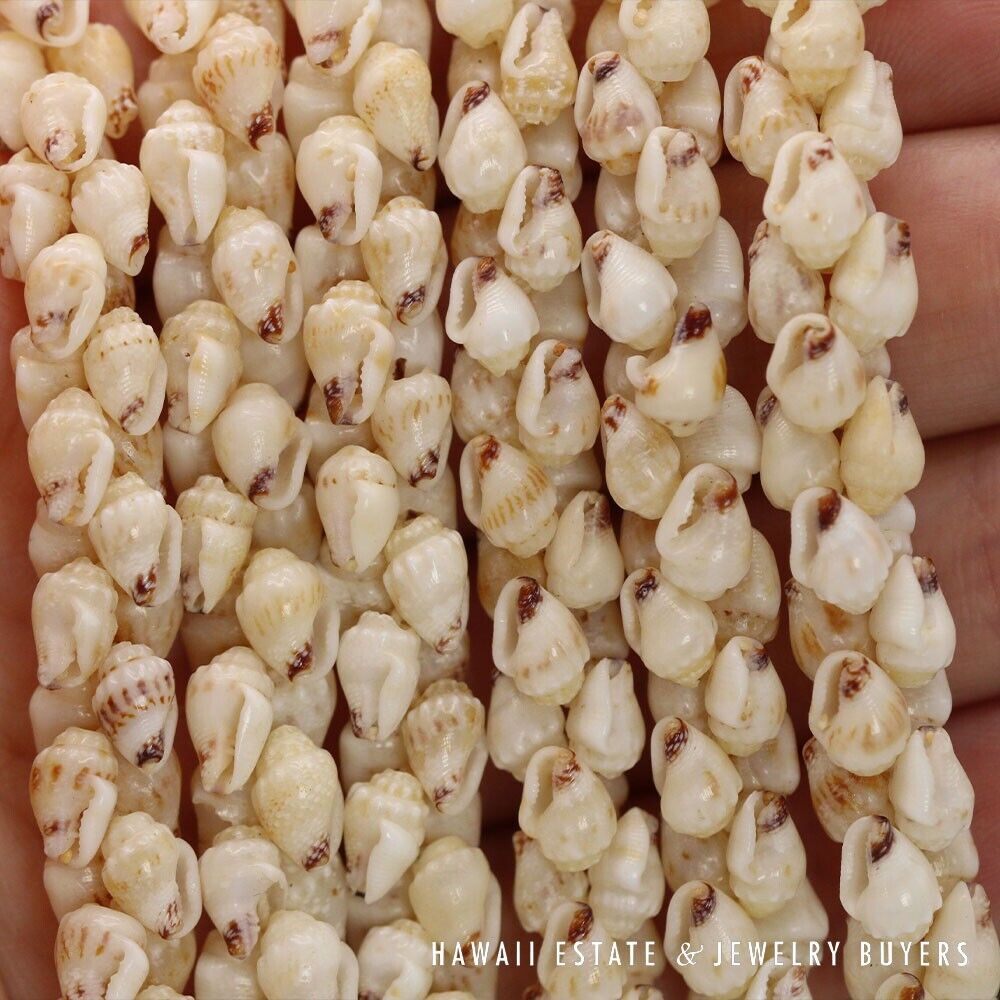3-Strand Ni'ihau Shell Lei: 41" Poe'Poe Paha Momi Lenalena Kua Ele #111623-01 - Image 12