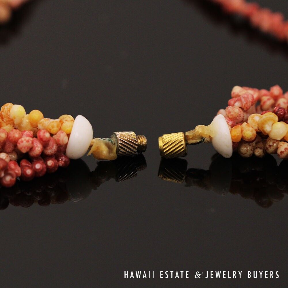 Five-Strand Multi-Color Ni'ihau Shell Necklace: Maunaloa 17 inches #2723-02 - Image 9