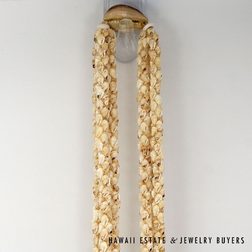 3-Strand Ni'ihau Shell Lei: Poe Poe Momi Lenalena 38 inches #LK021820-01 - Image 5