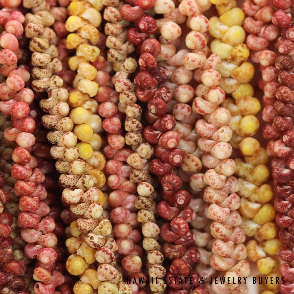 Ni'ihau Shell Lei Multi-Strand Maunaloa Kahelelani Kamoa Multi-Color 35 Inch - Image 11