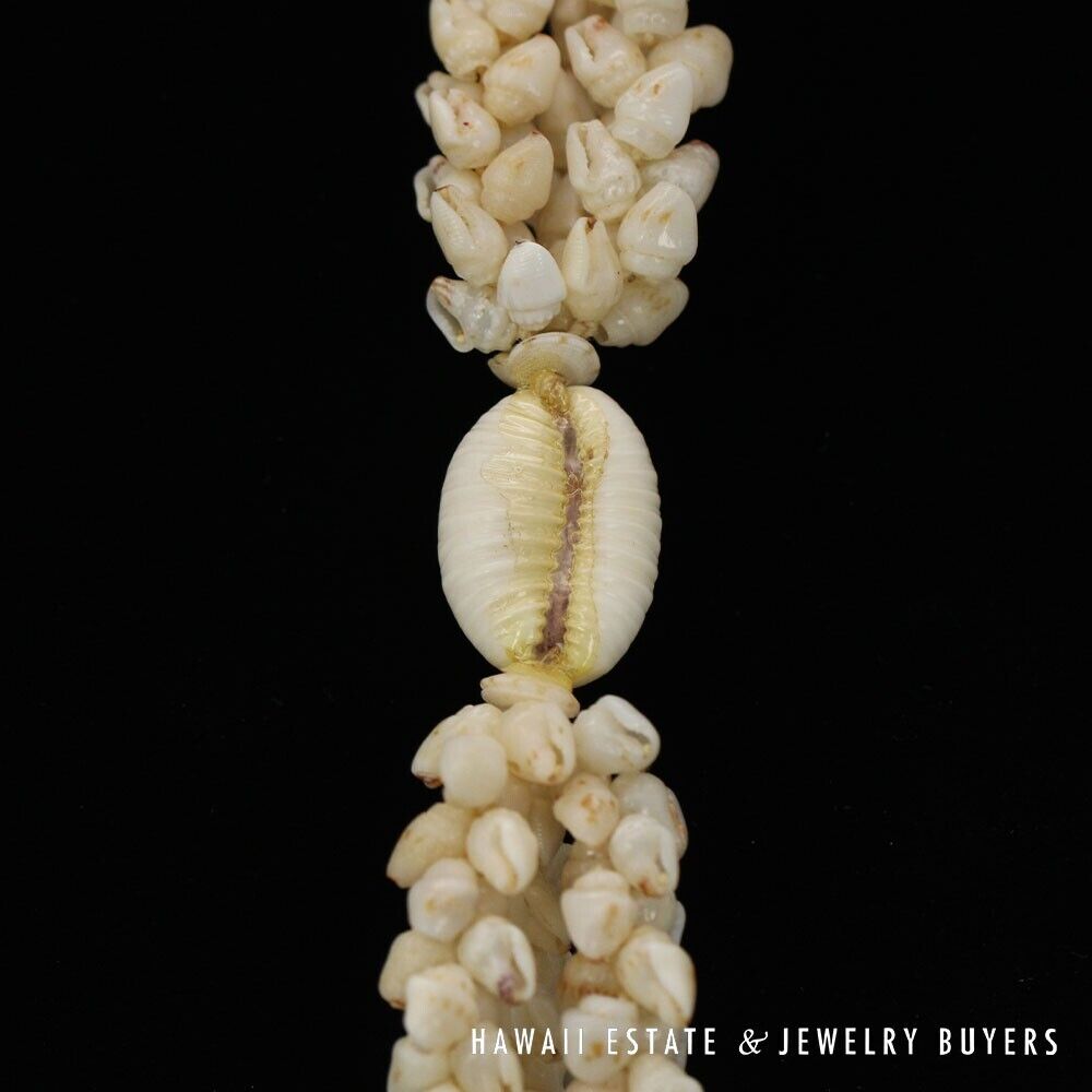 Ni'ihau Shell Lei 3 Strand Pikake Momi Lenalena Poleholeho Apu'upu'u 38 Inch - Image 12