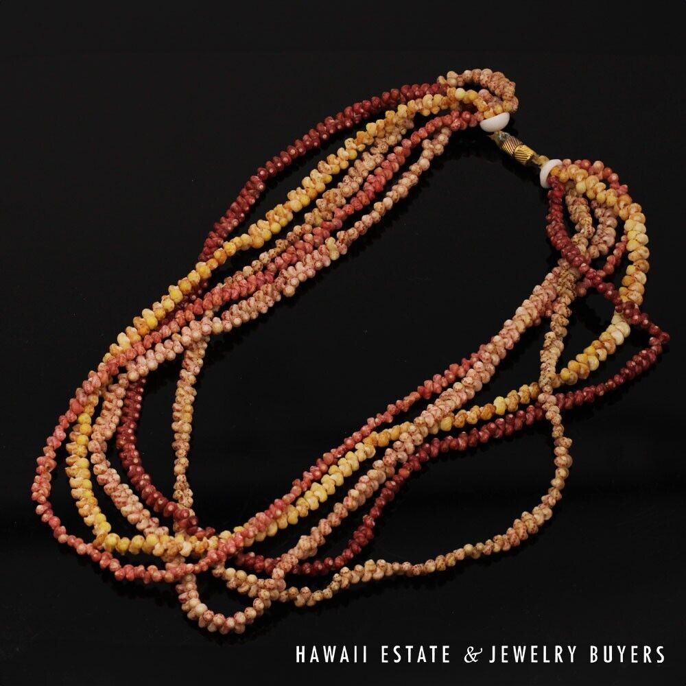 Five-Strand Multi-Color Ni'ihau Shell Necklace: Maunaloa 17 inches #2723-02