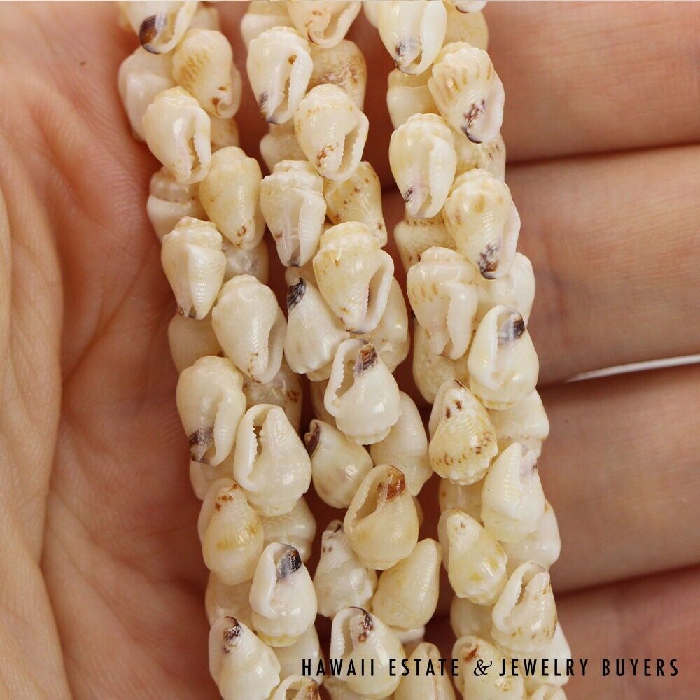 3-Strand Ni'ihau Shell Lei: Poe Poe Momi Lenalena 38 inches #LK021820-01 - Image 9