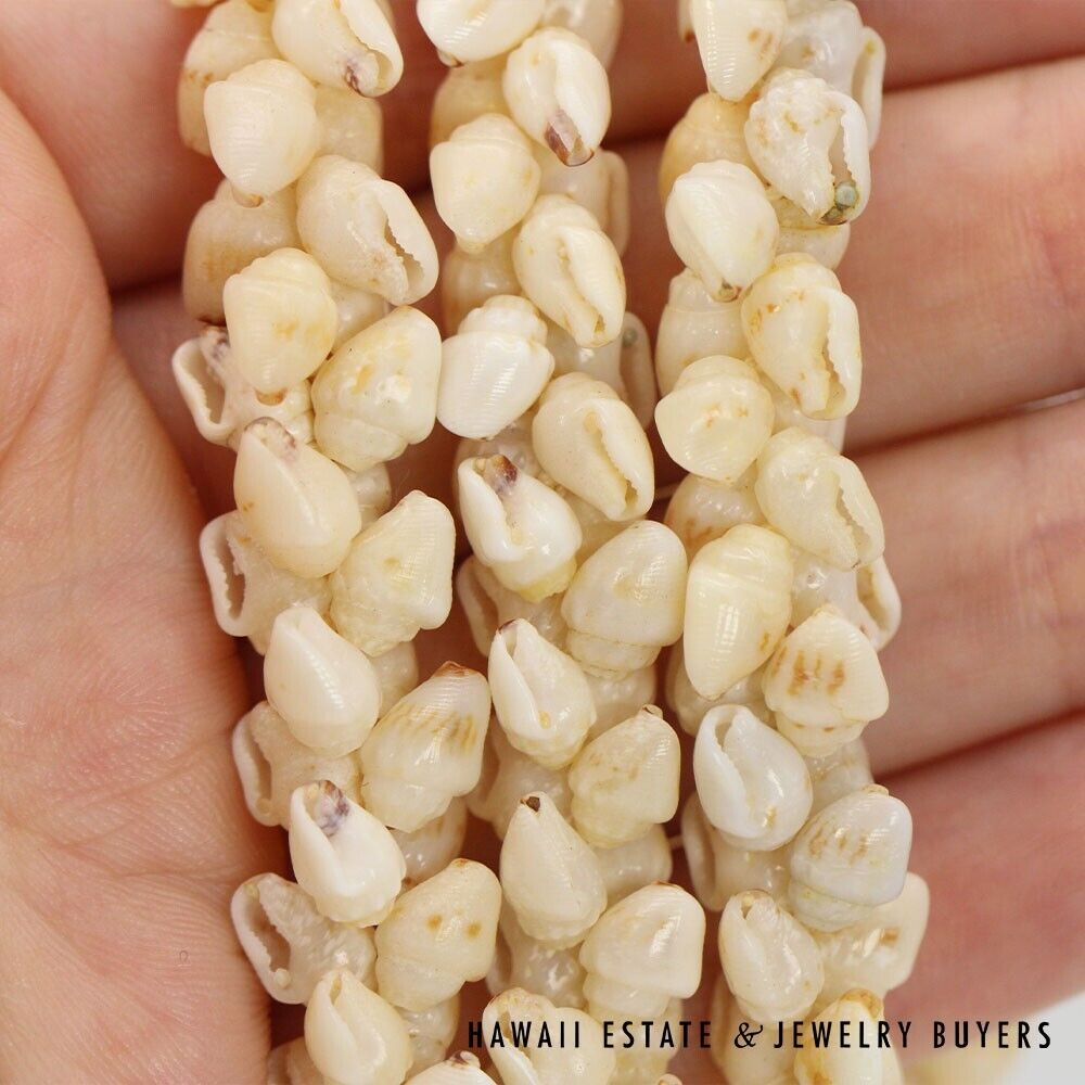 Ni'ihau Shell Lei 3 Strand Pikake Momi Lenalena Poleholeho Apu'upu'u 38 Inch - Image 9