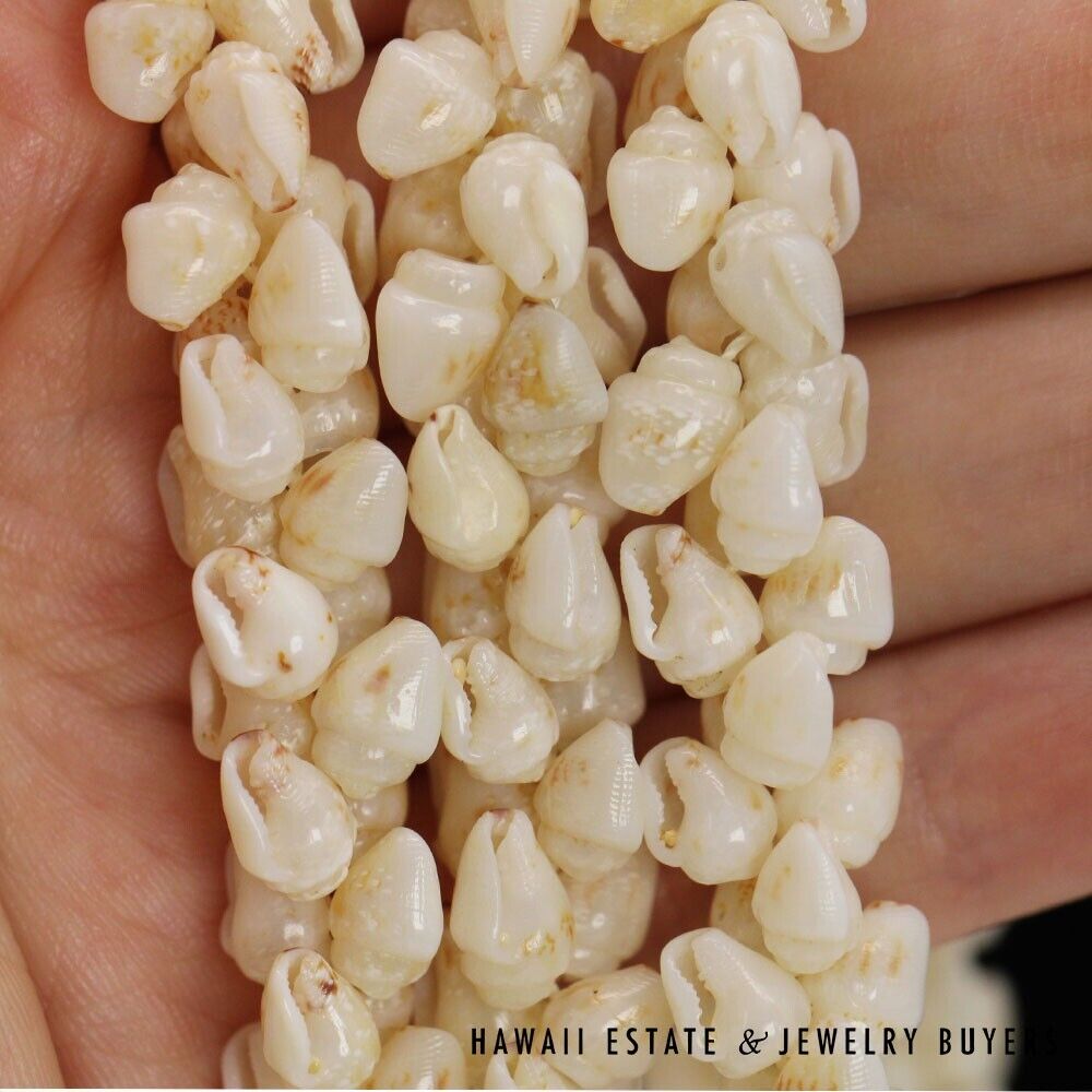 Ni'ihau Shell Lei 3-Strand Pikake Momi Cream 38 Inch Hawaiian Necklace - Image 11