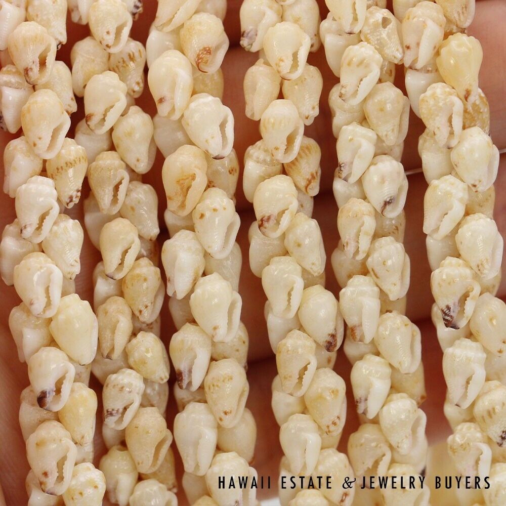 3-Strand Ni'ihau Shell Lei: Poe Poe Momi Lenalena 38 inches #LK021820-01 - Image 10