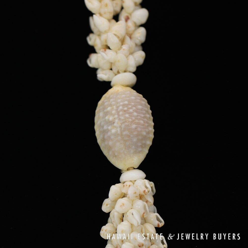Ni'ihau Shell Lei 3-Strand Pikake Momi Cream 38 Inch Hawaiian Necklace - Image 9