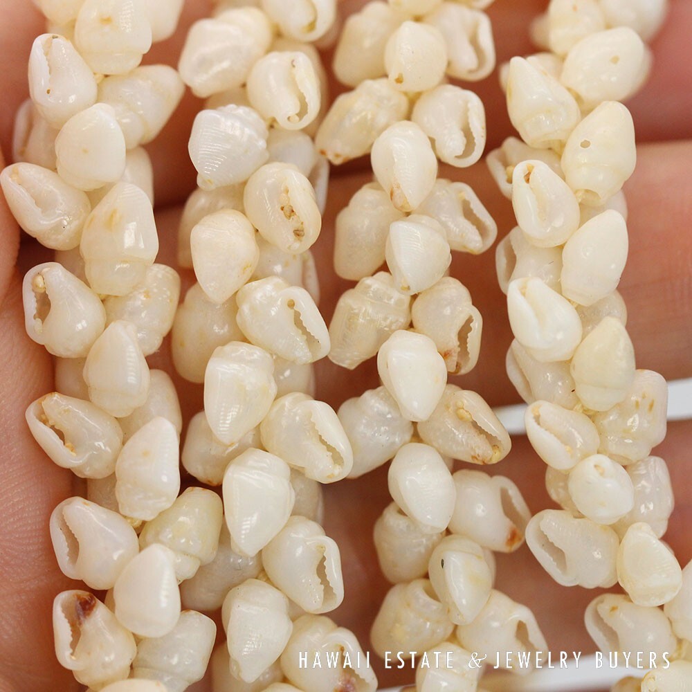 Ni'ihau Shell Lei Single Strand Pikake Momi Ke'oke'o 30 Inch - Image 9