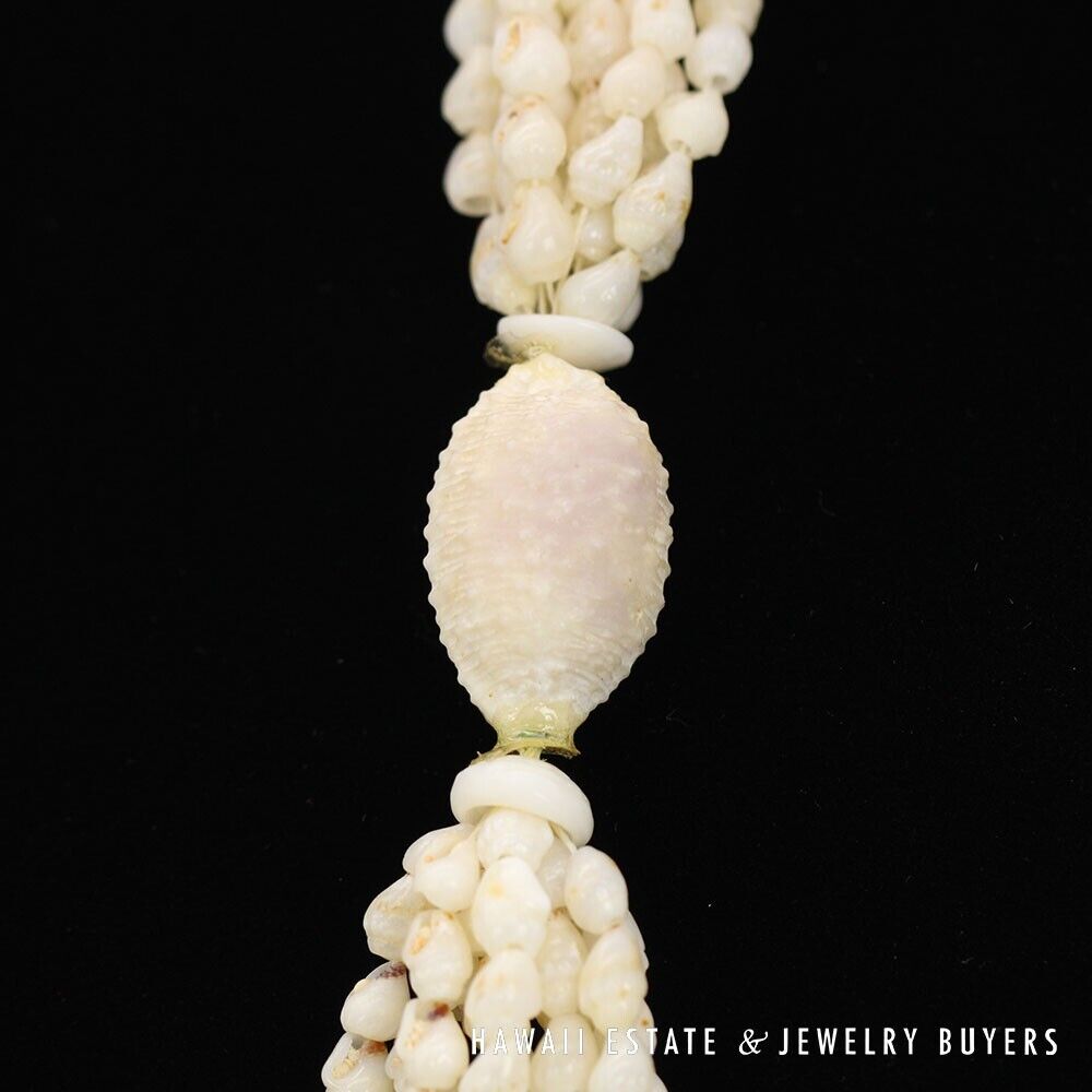 Ni'ihau Shell Lei 10-Strand Pololei Momi Ke'oke'o 36 Inch with Earrings - Image 12