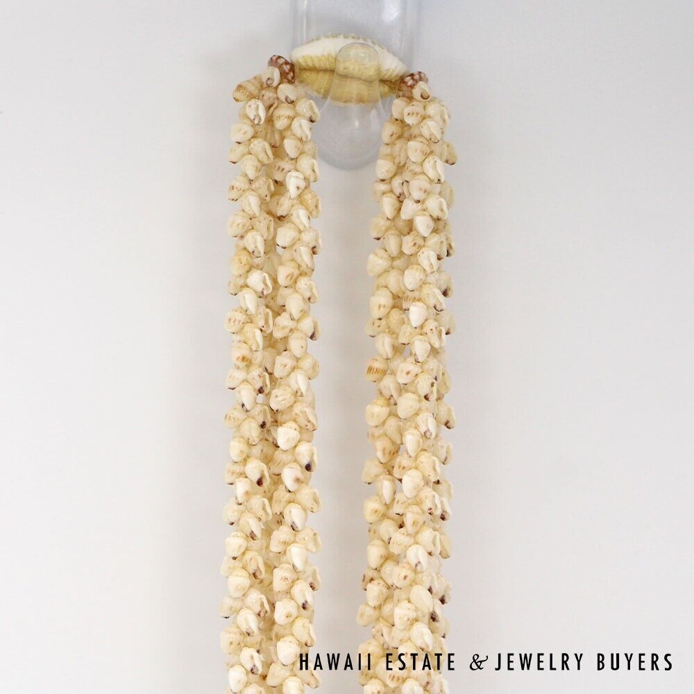 Three-Strand Ni'ihau Shell Lei: Pikake Momi Lenalena 36 inches #2835-01 - Image 5