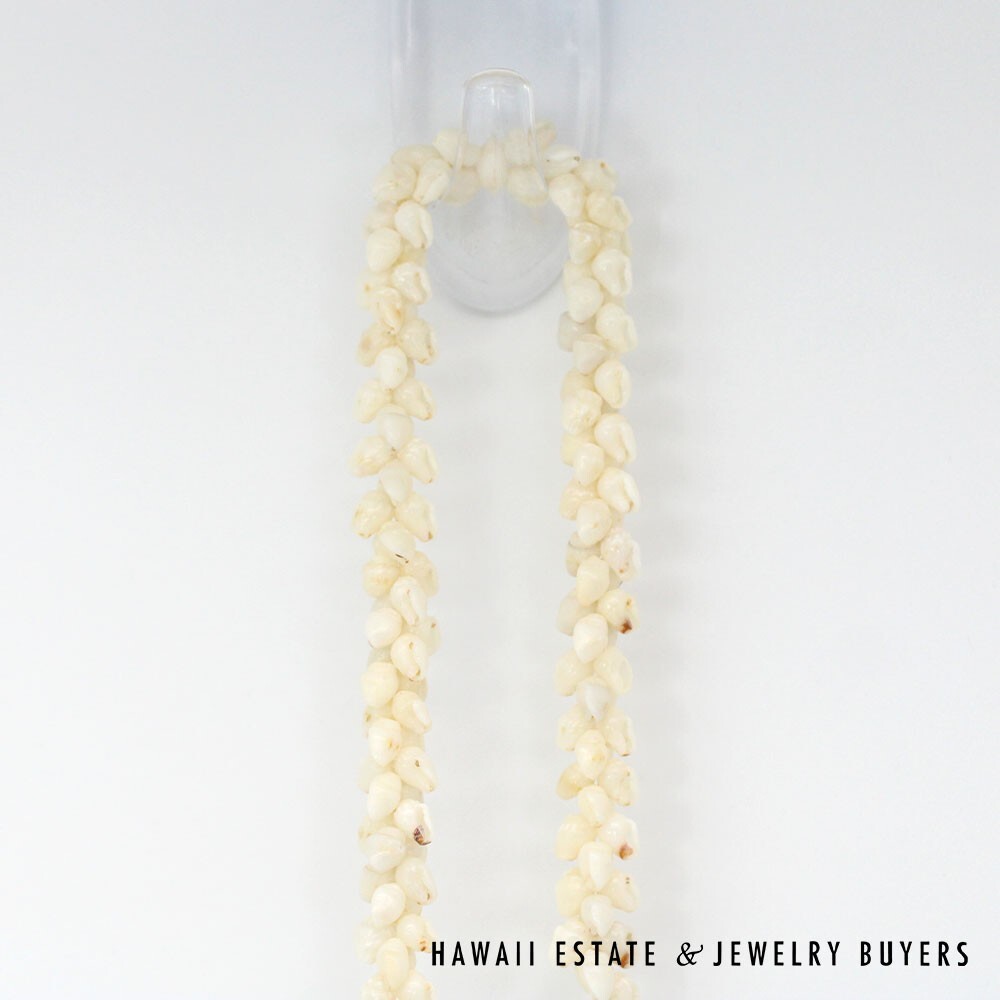 Ni'ihau Shell Lei Single Strand Pikake Momi Ke'oke'o 30 Inch - Image 5