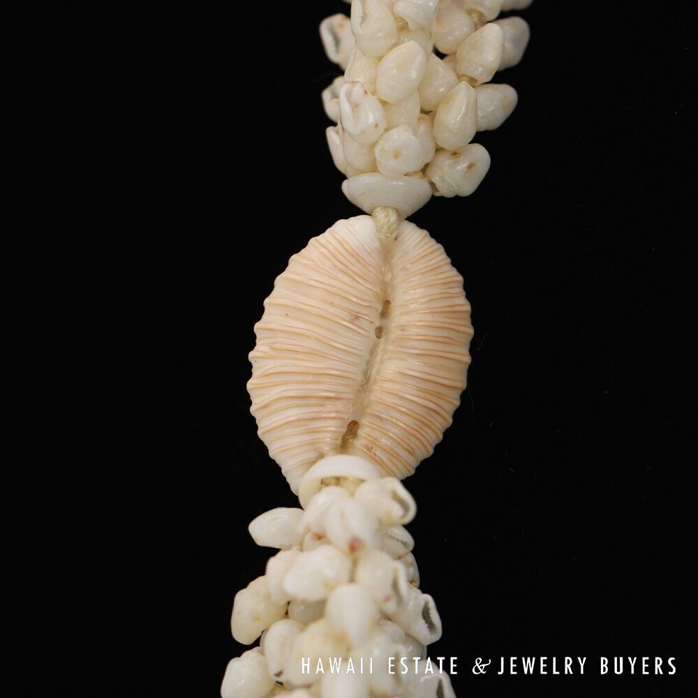 Ni'ihau Shell Lei 3-Strand Pikake Momi Lenalena Necklace 36 Inch - Image 11
