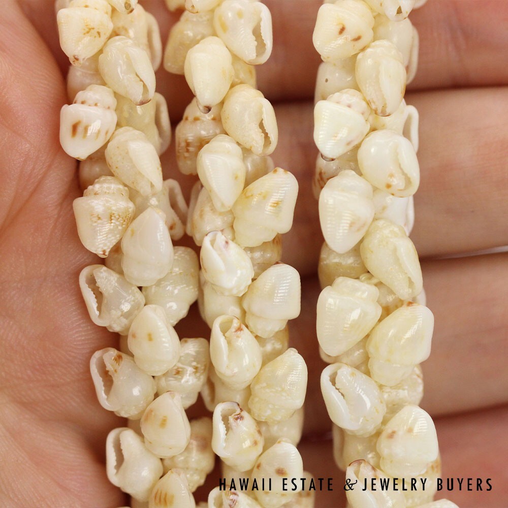 Ni'ihau Shell Lei 3-Strand Pikake Momi Lenalena 38 Inch - Image 10