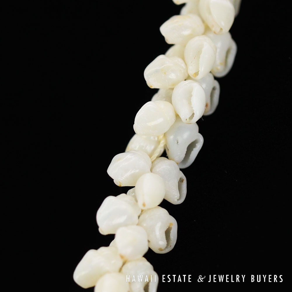 Ni'ihau Shell Lei Single Strand Pikake Momi Ke'oke'o 30 Inch - Image 12