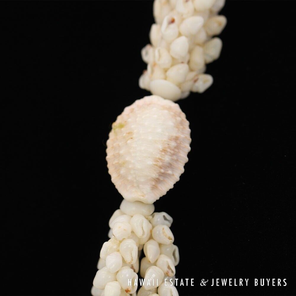 Ni'ihau Shell Lei 3-Strand Pikake Momi Lenalena Necklace 36 Inch - Image 10