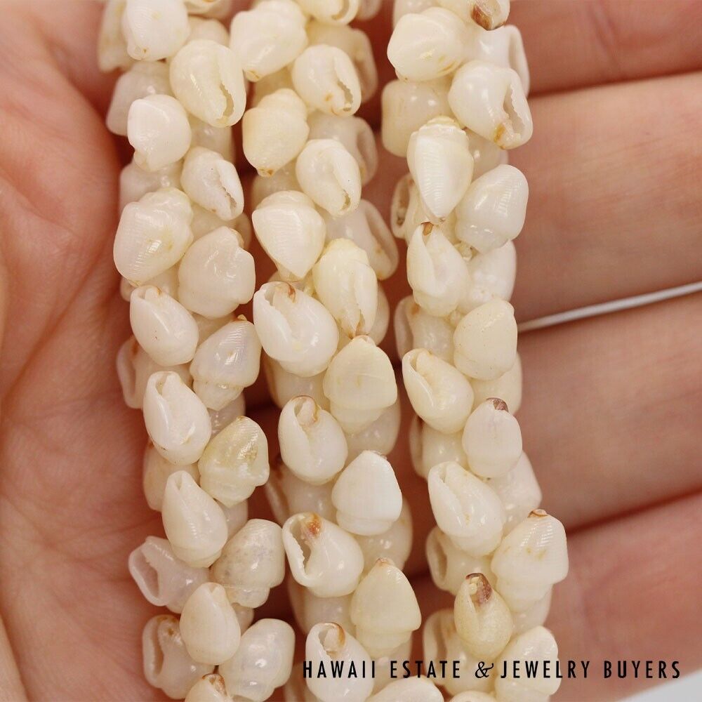 Ni'ihau Shell Lei 3-Strand Pikake Momi Lenalena Necklace 36 Inch - Image 8