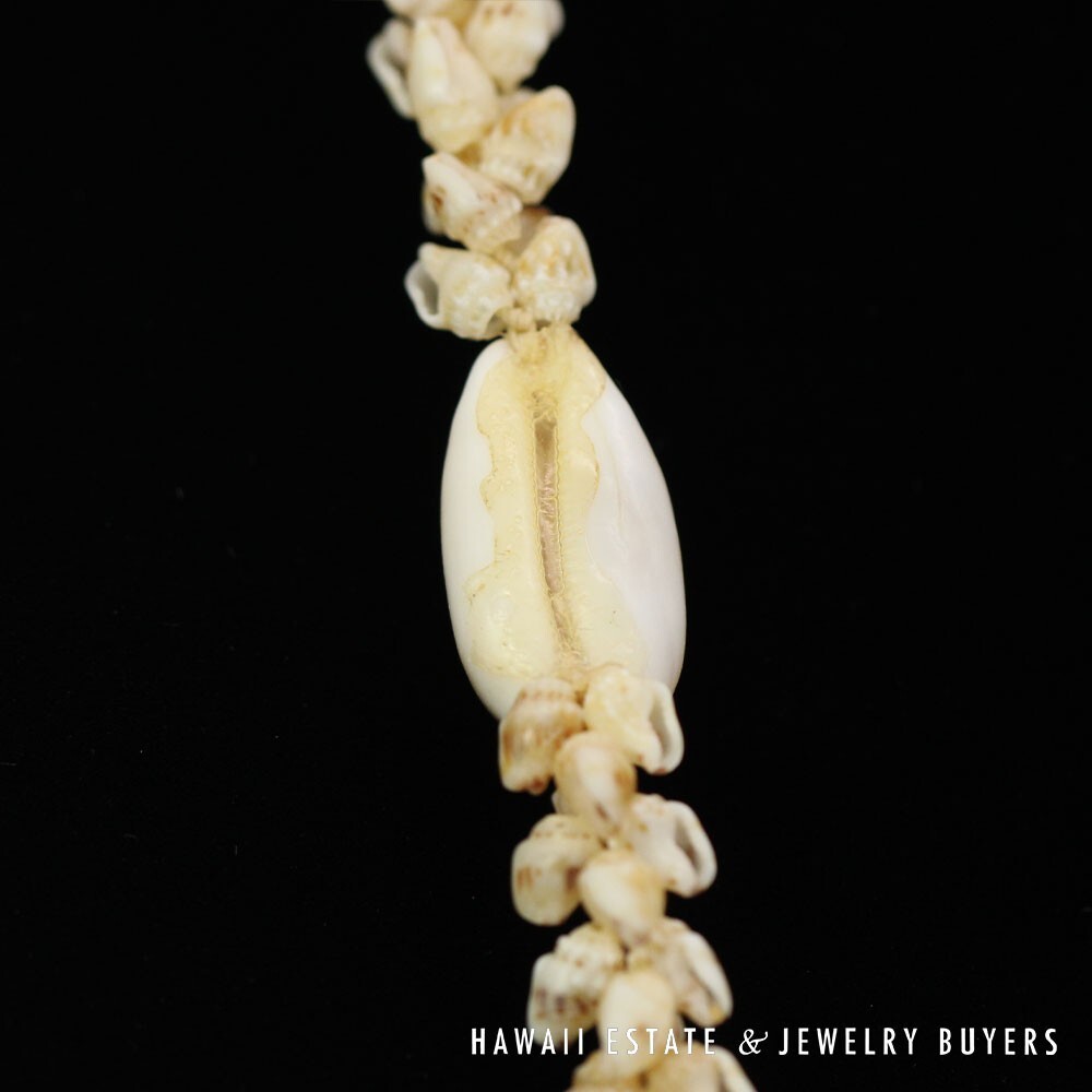 Single-Strand Ni'ihau Shell Lei: Pikake Momi Lenalena 62 inches #2778-19 - Image 9