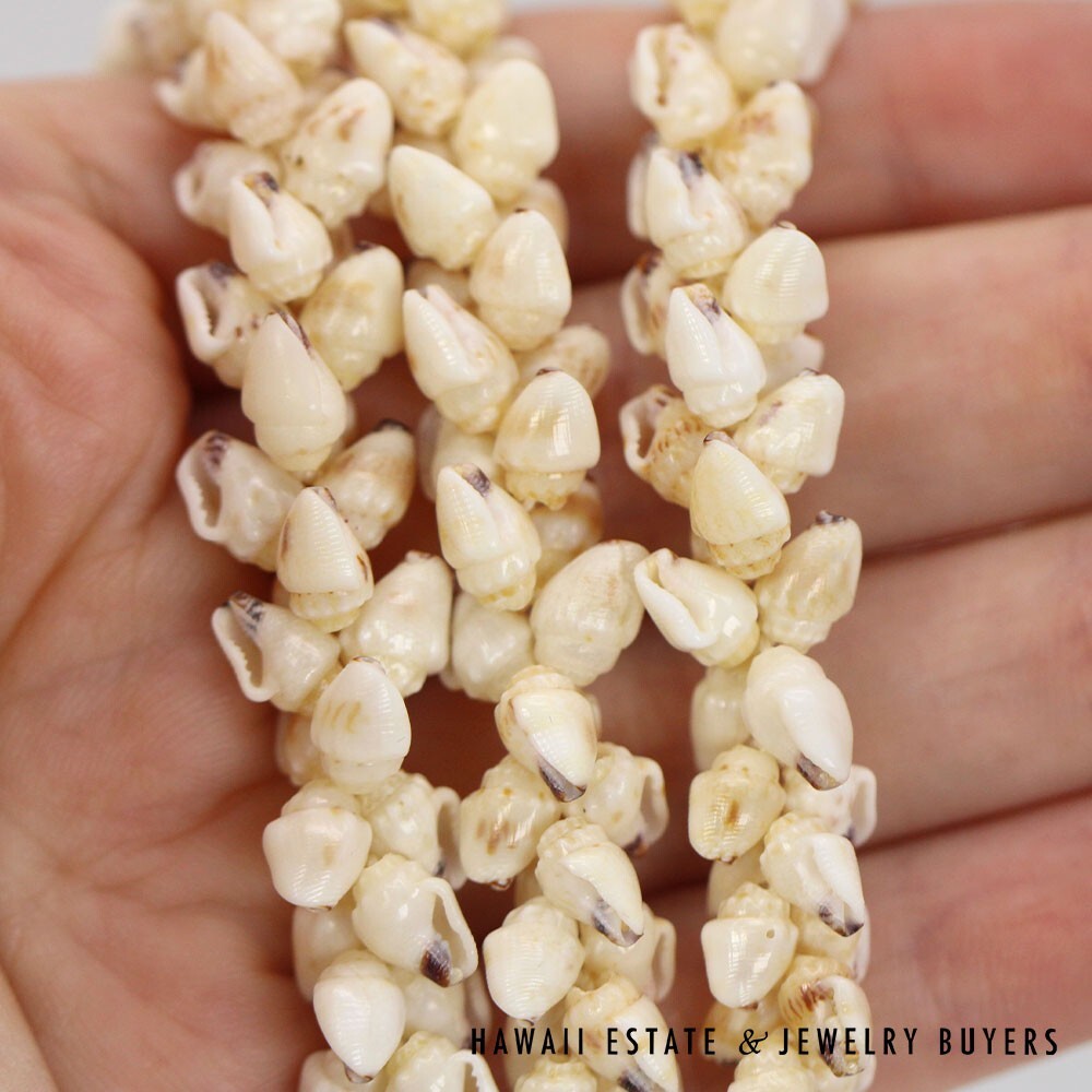 Three Strand Ni'ihau Shell Lei: Pikake Momi Lenalena Waha Ela Ela 48" #2402-01 - Image 9